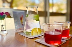 Taste for Pleasure - Bringing Comfort at the End of Life