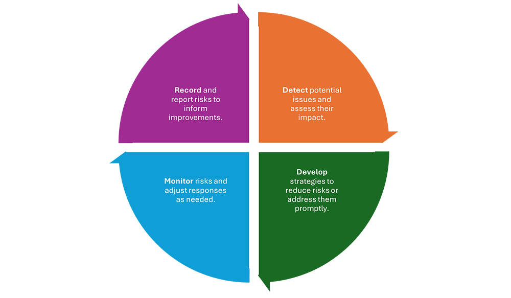 Detect potential issues and assess their impact; Develop strategies to reduce risks or address them promptly; Monitor risks and adjust responses as needed; Record and report risks to inform improvements